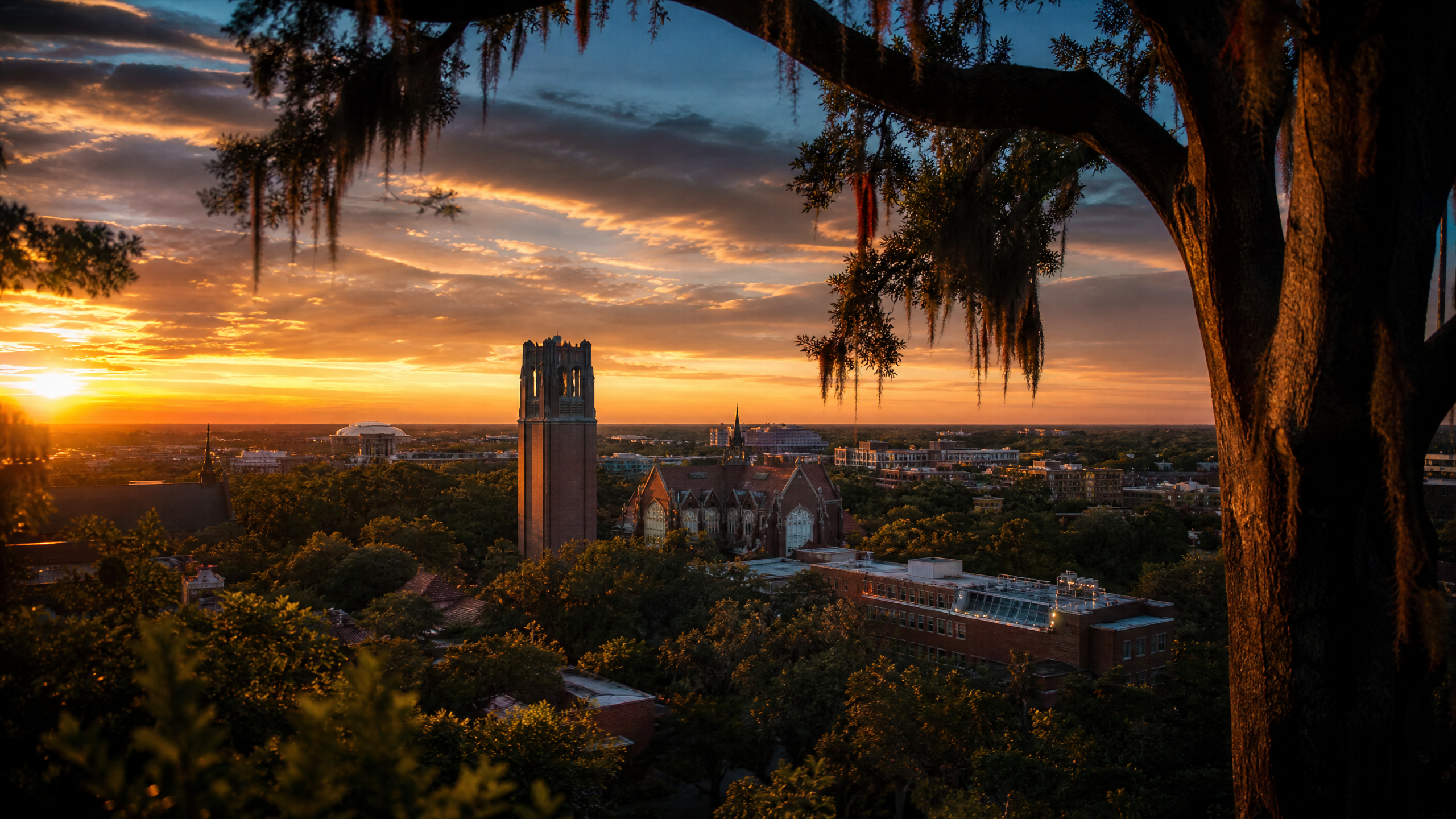 Pre-settlement funding in Gainesville